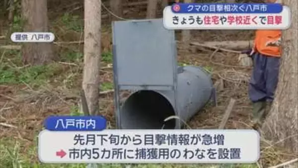 八戸市の住宅・学校に近いエリアにも出没　クマ目撃相次ぎ 市長が警戒呼びかけ