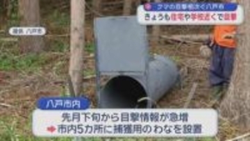 八戸市の住宅・学校に近いエリアにも出没　クマ目撃相次ぎ 市長が警戒呼びかけ