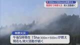 「南部町で林野火災　消火活動続く　300ｍ×500ｍの山林燃える」の画像1