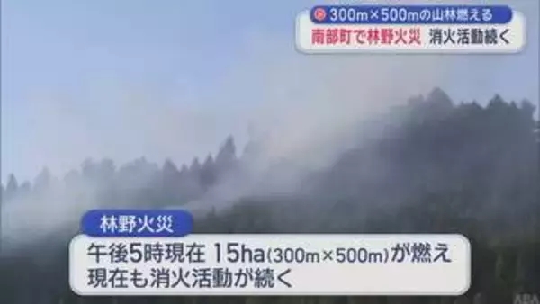 南部町で林野火災　消火活動続く　300ｍ×500ｍの山林燃える