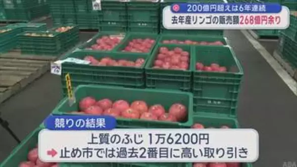 200億円超えは6年連続　2025年産リンゴ販売額268億円余り