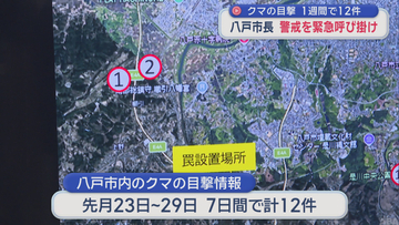 八戸市内でのクマ目撃 1週間で12件　市長「最大級の警戒」呼び掛け