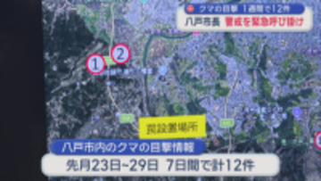 八戸市内でのクマ目撃 1週間で12件　市長「最大級の警戒」呼び掛け