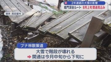 2年連続の大雪の影響　暗門渓谷ルート 8月上旬開通見込み／青森県西目屋村