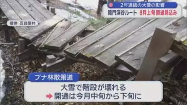 2年連続の大雪の影響　暗門渓谷ルート 8月上旬開通見込み／青森県西目屋村