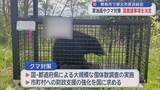 「原油高やクマ対策 国要望事項を決定　青森市で東北市長会総会」の画像1