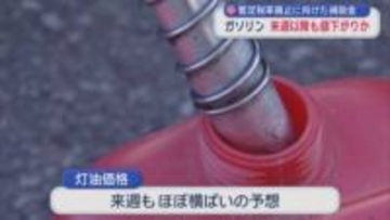 暫定税率廃止に向けた補助金の影響　ガソリン　来週以降も値下がり傾向か