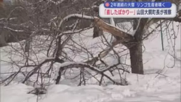 2年連続の大雪　リンゴ生産者嘆く　「直したばかり…」　山田大鰐町長が視察／青森県