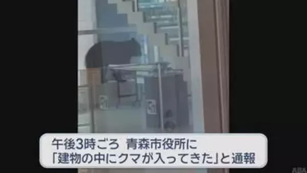 【青森市内 クマ出没】商業施設クロスタワーア・ベイにクマ立てこもり　「急に目の前に現れた」