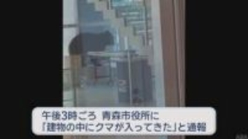 【青森市内 クマ出没】商業施設クロスタワーア・ベイにクマ立てこもり　「急に目の前に現れた」