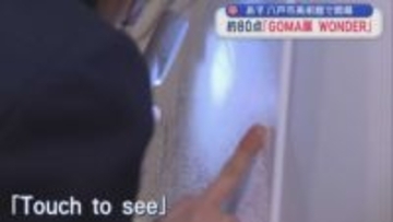 14日八戸市美術館で開幕　「GOMA展　WONDER」約80点