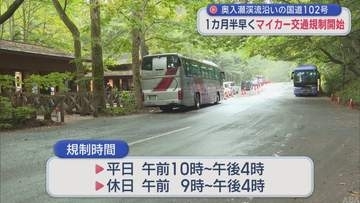 【青森・十和田市】奥入瀬渓流沿いの国道102号　1ヵ月半早くマイカー交通規制開始