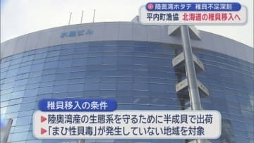 陸奥湾ホタテ 稚貝不足深刻　平内町漁協 北海道の稚貝移入へ／青森県