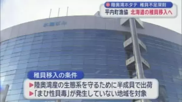 陸奥湾ホタテ 稚貝不足深刻　平内町漁協 北海道の稚貝移入へ／青森県