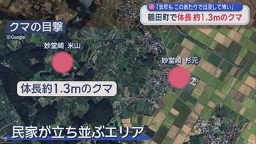 鶴田町で体長約1.3ｍのクマ目撃相次ぐ　前年もこの周辺で出没
