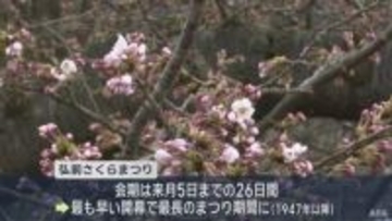 「弘前さくらまつり」開幕　会期7日早め 史上最長のまつり期間に