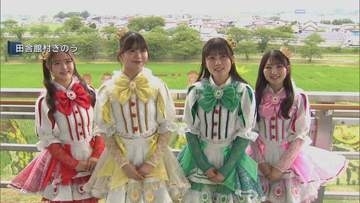 りんご娘が田んぼアートの見頃を宣言