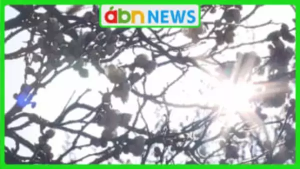 冬ごもりの虫たちが目覚め 春の花が各地で開花…二十四節気の一つ「啓蟄」に春めく県内【長野】