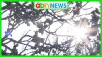 冬ごもりの虫たちが目覚め 春の花が各地で開花…二十四節気の一つ「啓蟄」に春めく県内【長野】