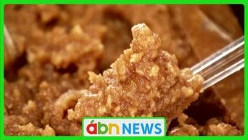 「研究用に渡した乳酸菌を無断使用」老舗みそ蔵の訴え　信州大側への損害賠償請求を一審棄却【長野】