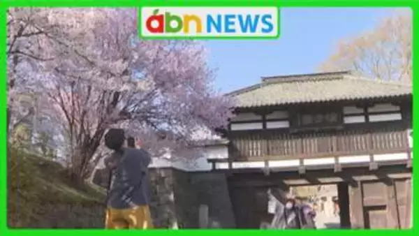 今年は例年より5日早く満開！小諸城址懐古園の桜が500本咲き誇る 結婚式前撮りカップルも笑顔に【長野】