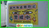 「「ブドウ盗難許さない!」 生産者たちが決起集会 パトロールなど継続で対策続ける【長野・松本市】」の画像1