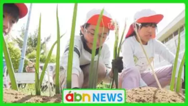 地元の伝統野菜に親しむ　江戸時代から受け継がれる「松本一本ねぎ」小学生が植え付けを体験【長野】