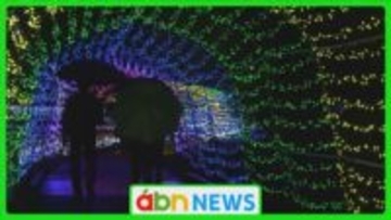 56万球のLED輝く！今年は「星」がテーマ　安曇野でイルミネーションイベント【長野】