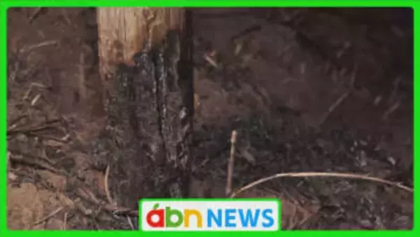 雑木林の火災現場から発見の遺体は近隣住民と判明　下草やゴミの焼却中に火に巻き込まれたか【長野・伊那市】