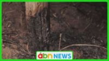 雑木林の火災現場から発見の遺体は近隣住民と判明　下草やゴミの焼却中に火に巻き込まれたか【長野・伊那市】