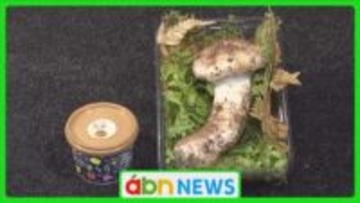 不作が故に…〝秋の味覚の王様〟届けたい 「マツタケジェラート」が販売開始【長野・豊丘村】