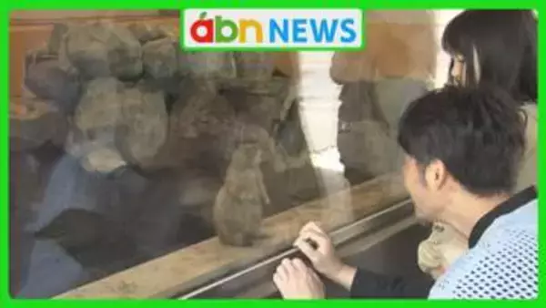 開園100周年の大きな節目に! 小諸市動物園がリニューアルオープン 獣舎約3分の2が新しく【長野・小諸市】