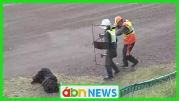 自治体の枠を超えた連携で進む野生鳥獣対策　信州ガバメントハンター協議会が初の定例会　情報共有アプリの運用も開始【長野】