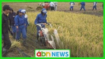 “下水汚泥”から生まれた新肥料で米作り！農業高校生が収穫　「肥料の国産化」へ向けて見えてきた適正量と課題【長野・安曇野市】
