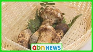 直売所に旬の香り！例年より早いマツタケ初出荷　お盆の雨と冷え込みで生育順調【長野・長和町】