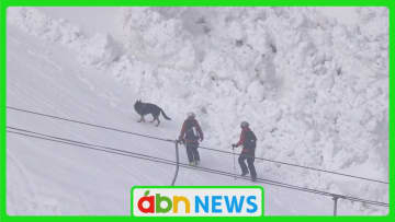 発生から一夜明けて…4人負傷のスキー場雪崩 警察・消防などが現地調査【長野】