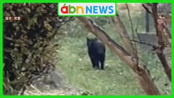 住宅地に子グマ出没　通報者「線路方面へ逃走」　小学校は保護者迎えの下校対応で警戒強化【長野・松本市】