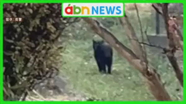 住宅地に子グマ出没　通報者「線路方面へ逃走」　小学校は保護者迎えの下校対応で警戒強化【長野・松本市】