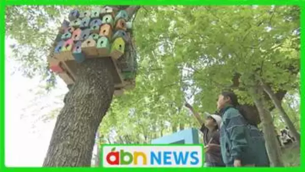 五感で楽しむ森のアートと食！子どもたちの挑戦する心を育てるツリーハウスプロジェクトに2000人が参加【長野・小諸市】
