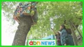 五感で楽しむ森のアートと食！子どもたちの挑戦する心を育てるツリーハウスプロジェクトに2000人が参加【長野・小諸市】