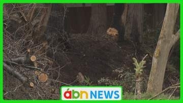 下草火災で焼け跡から1人の遺体見つかる　世帯主と連絡取れず身元の確認急ぐ【長野・飯山市】