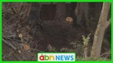 下草火災で焼け跡から1人の遺体見つかる　世帯主と連絡取れず身元の確認急ぐ【長野・飯山市】