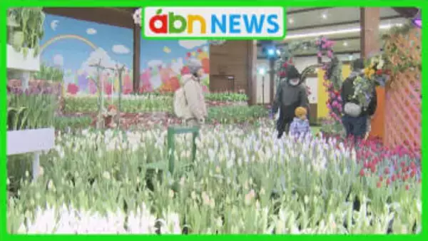 厳冬の安曇野に春の彩り　国営アルプスあづみの公園でアイスチューリップ1万5000本が開花【長野市】