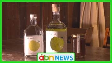 廃棄されるはずのリンゴが…「クラフトジン」に! 〝強い酸味〟&〝爽やかな香り〟に着目【長野】