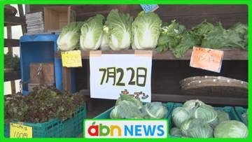 地域とつながる44年　朝採れ野菜を子どもたちが直販　夏休みも営業する高原の無人販売所【長野・南牧村】