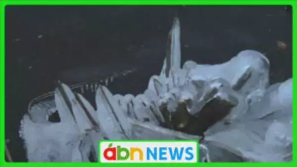 諏訪湖の岸辺に「しぶき氷」が出現　八剣神社の宮司も期待「水は今にも凍る」　2018年以来の御神渡り出現を待ち望む日々【長野】