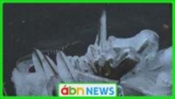 諏訪湖の岸辺に「しぶき氷」が出現　八剣神社の宮司も期待「水は今にも凍る」　2018年以来の御神渡り出現を待ち望む日々【長野】