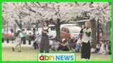 「県内26地点で今年最高気温　満開と共に春休み終盤の花見客でにぎわう【長野】」の画像1
