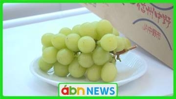 寄付者の心をつかむ第一印象！ふるさと納税の魅力を最大限に引き出す返礼品撮影　プロの技で特産品の魅力がさらにアップ【長野・中野市】