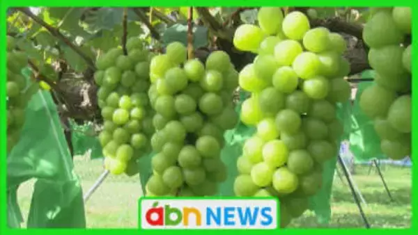 ふるさと納税返礼品で産地偽装　市が委託業者に2億5000万円超の損害賠償を請求し提訴【長野・須坂市】